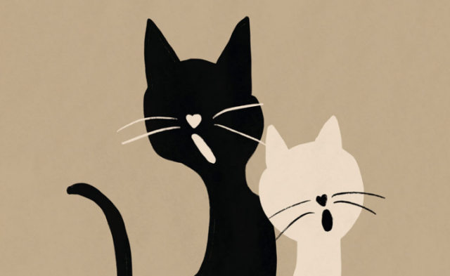 Коты и кошки