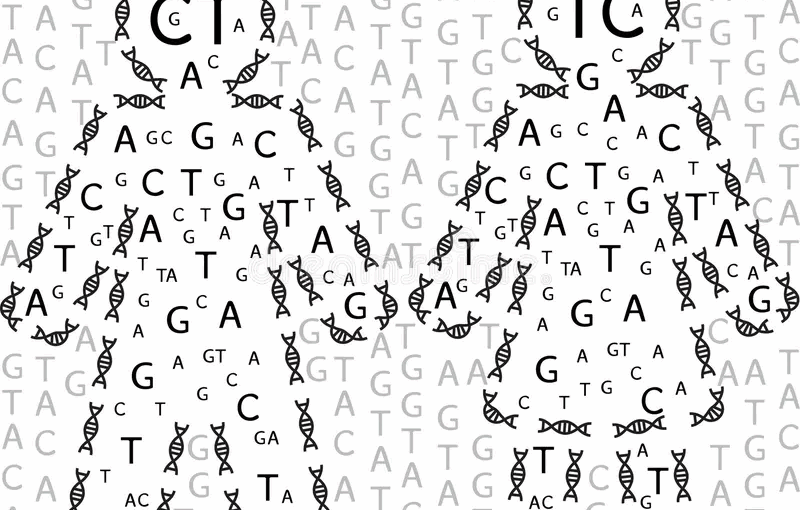 полиморфизм