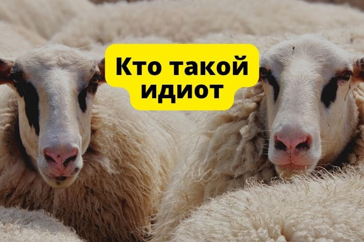 кто такой идиот