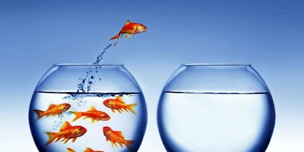 Уверенность с точки зрения психологии: что такое