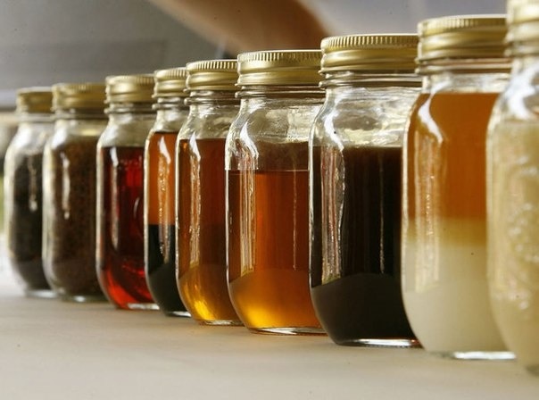 Сурица: что такое