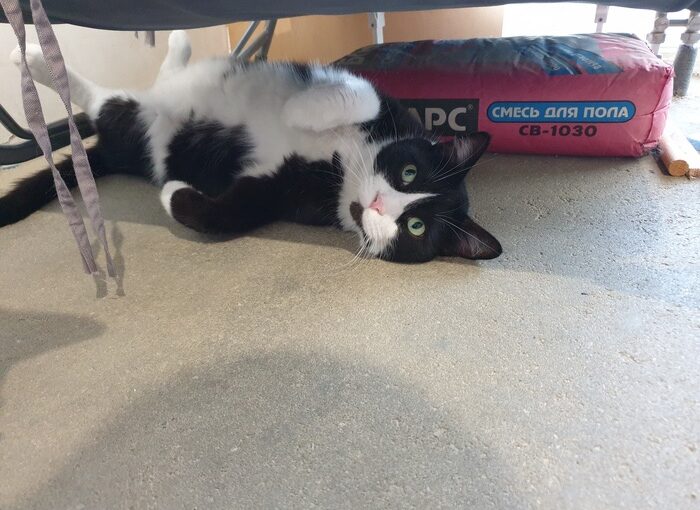 Раздолбайство с точки зрения психологии: что такое